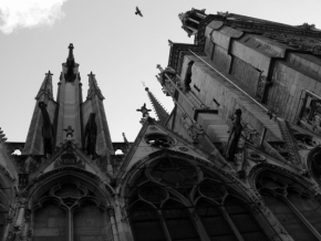 Umění architektury - Notre Dame