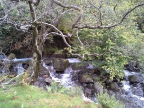 Divoká příroda - Lake District National Park