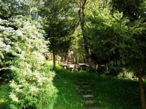 Libor Poláček - Strom na chatě 2