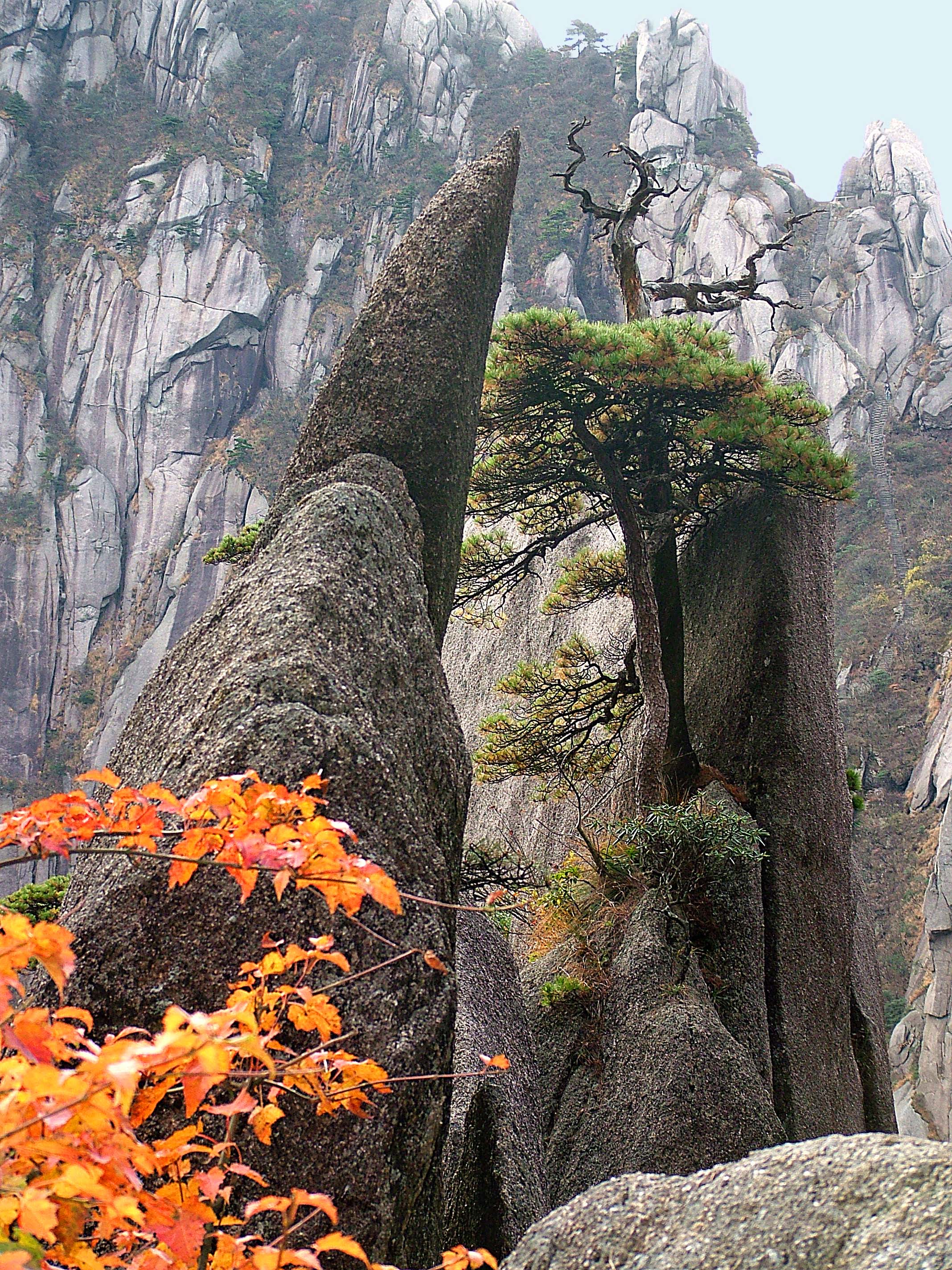 Podzim ve Žlutých horách (Čína)