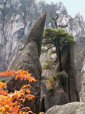 Stromy v krajině - Podzim ve Žlutých horách (Čína)