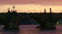 Iva Matulová -podvečer na Karlově mostě