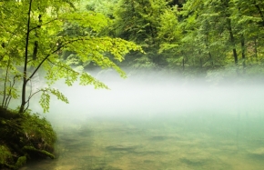 Divoká příroda - Tajemné jezero