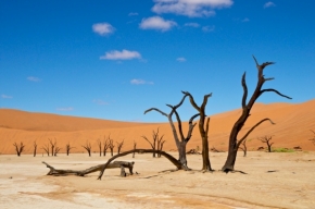 Divoká příroda - Fotograf roku - Top 20 - IV.kolo - Namib 2