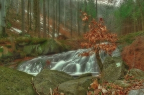 Divoká příroda - Studený potok