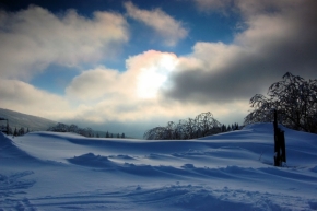 Divoká příroda - Chladná krása zimy