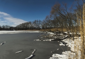 Fotograf roku v přírodě 2015 - Krásy zimy