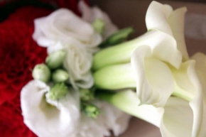 Svatby a oslavy - svatební květina
