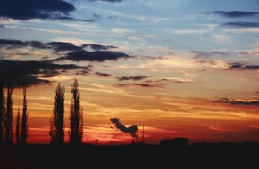 Fotograf roku v přírodě 2015 - Dog sunset