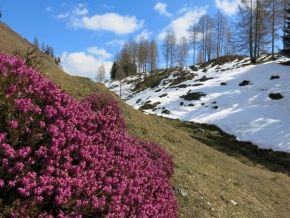 Fotograf roku na cestách 2015 - pozdrav z jarních Alp