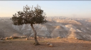 Video roku 2015 - Lovely trip to Israel