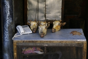 Michal Tutko - Kozí hlavy na prodej! - Kathmandu