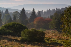 Stromy v krajině - Podzimní nálady