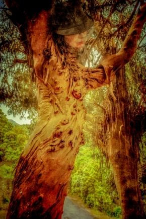 Fotíme glamour a módu - Duše stromu