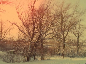 Jan Parobek - Stromy v zimě
