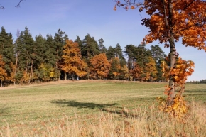 Stromy v krajině - Barevný podzim II