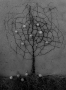 Rastislav Gallo -Asfaltový stromček v jeseni