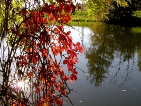 Stromy v krajině - Podzim nad řekou