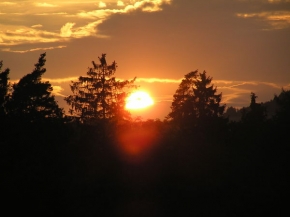 STANISLAV KNOTEK - Západ slunce za stromy