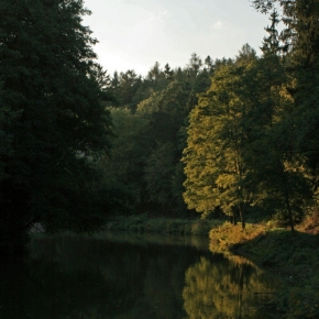 Ján Baran - Strom u vody