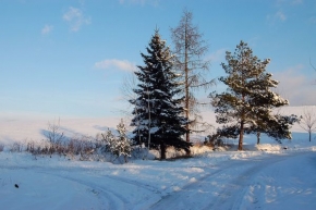 Stromy v krajině - Příprava na zimu