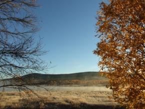 Stromy v krajině - Podzim a zima