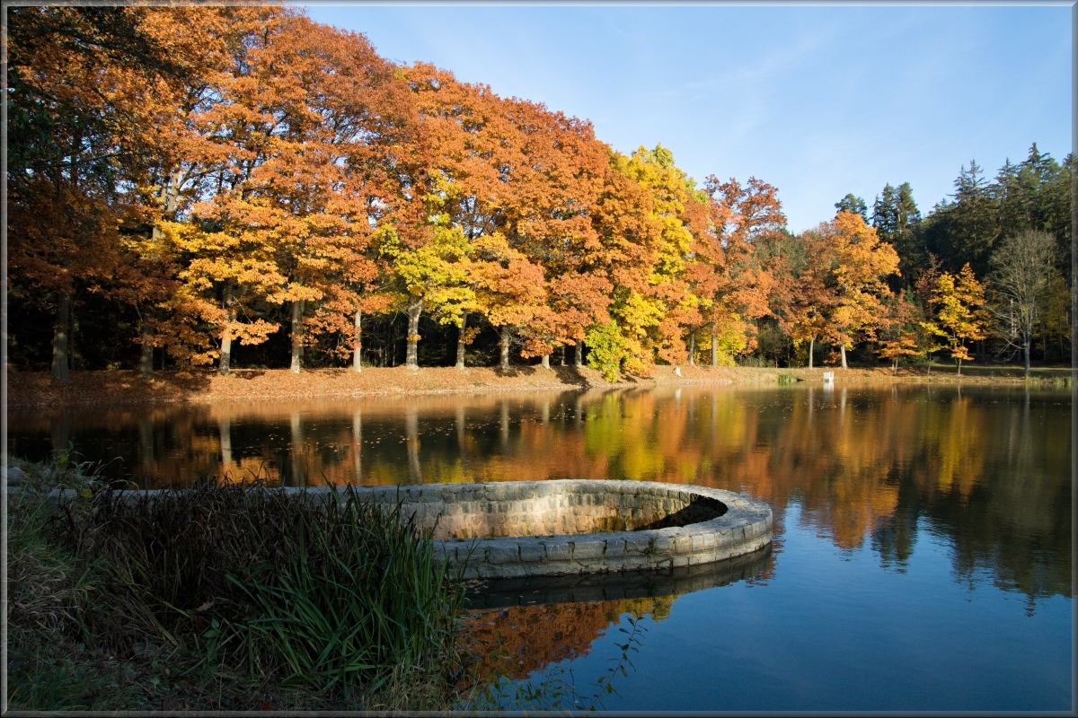 Podzim u rybníka