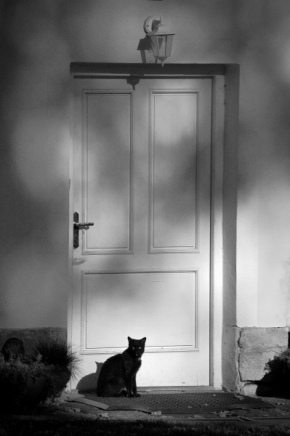 Vidím to černobíle - Černá kočka u bílých dveří