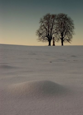 Stromy v krajině - Zimní krajina