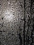 Iva Skulinová -Měsíc za oknem