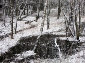 Stromy v krajině - Jaro 2007
