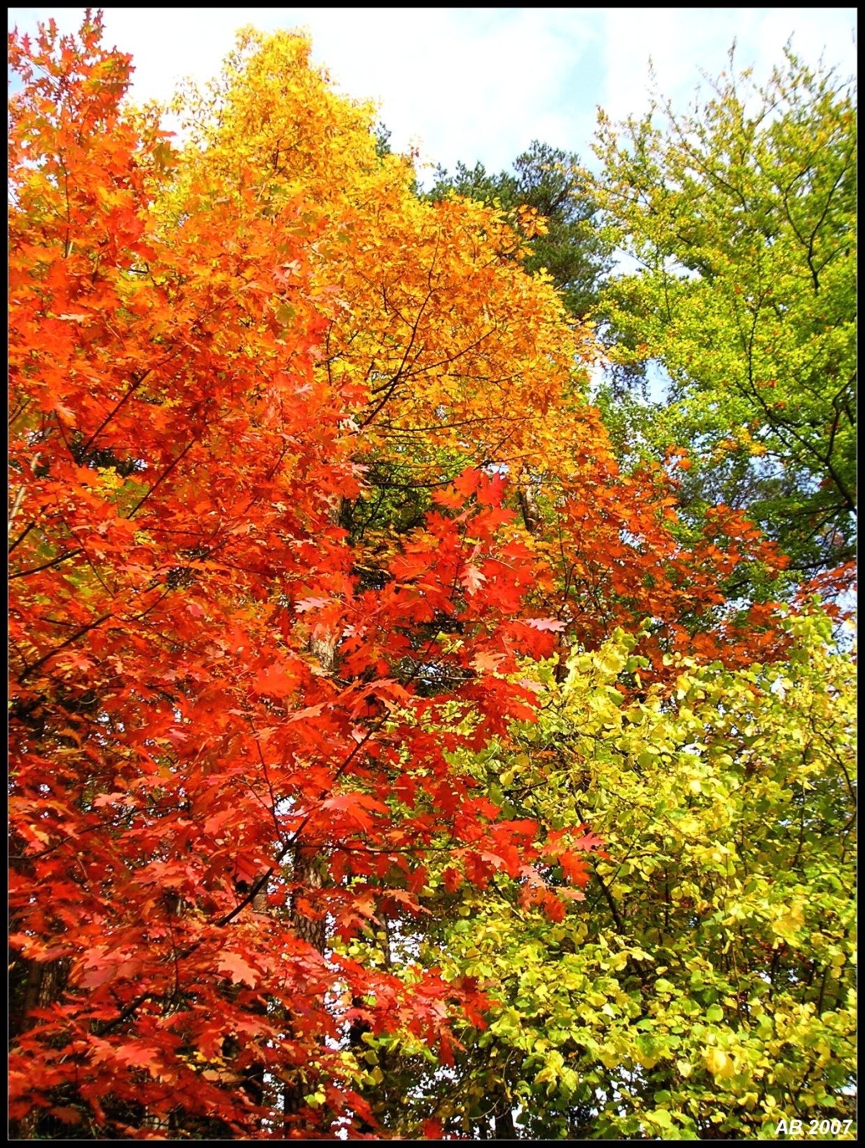 Barvy podzimu