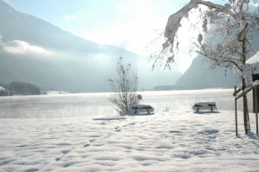 Kouzlení zimy - Hallstatter See