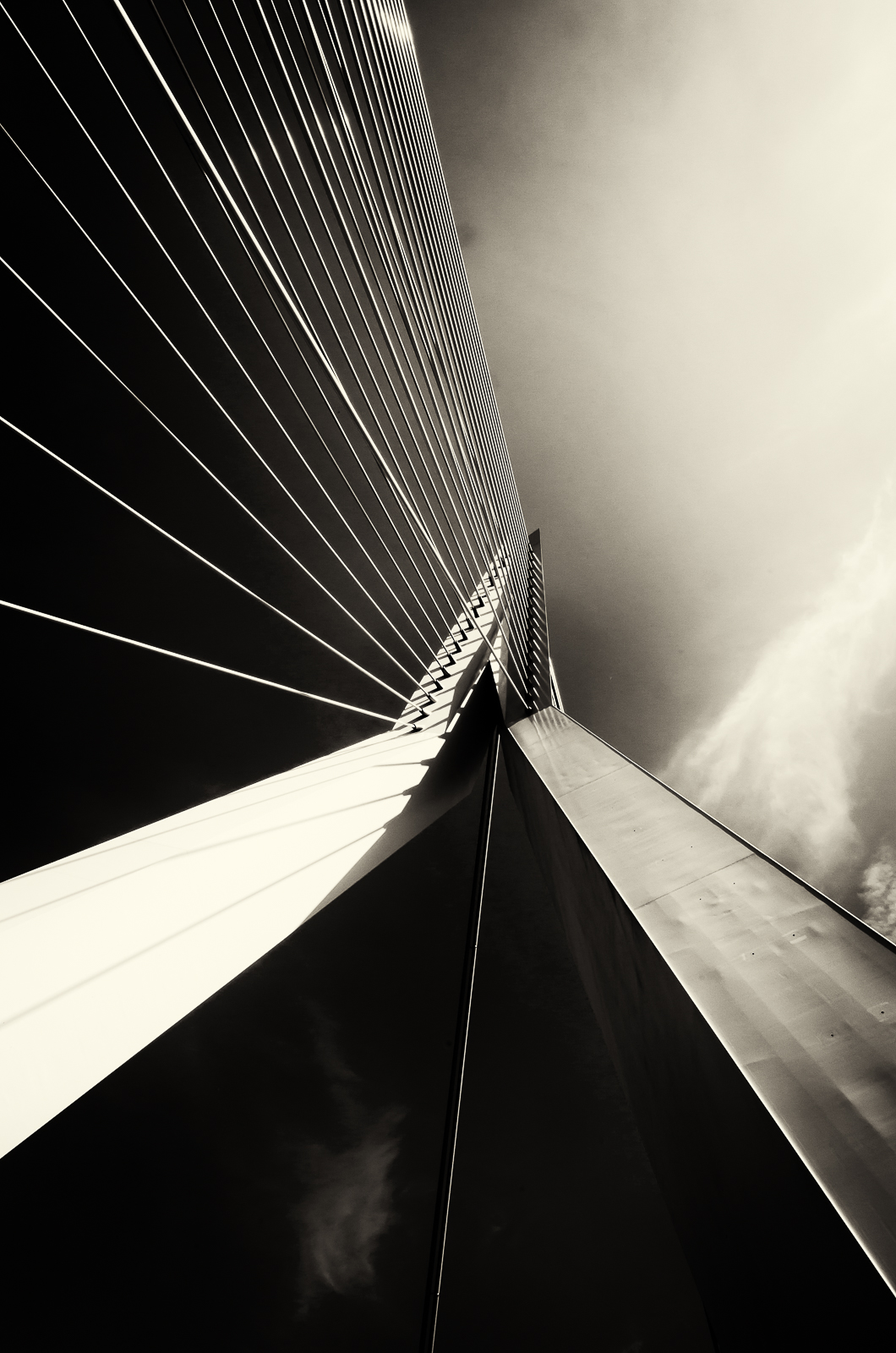 Most v Rotterdamu
