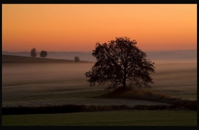 Stromy v krajině - Fotograf roku - kreativita - Svítání