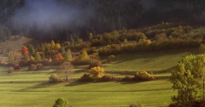 Stromy v krajině - Jeseň
