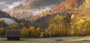 Rastislav Sabucha - Krajina žltých stromov
