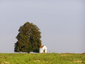 Stromy v krajině - Strom s kaplí