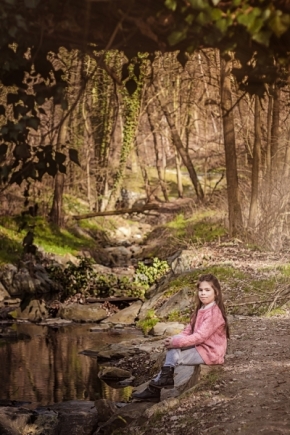 Nádherný svět dětí - Z lesa a kapradí