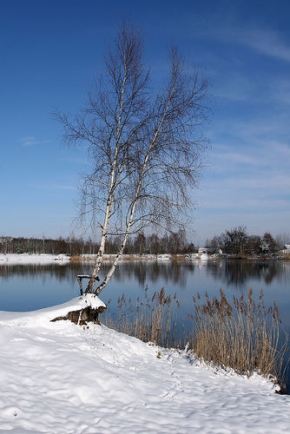 Jaromír Ptáček - Na Břehu jezera