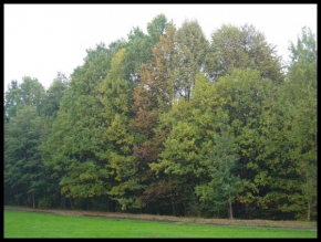 Stromy v krajině - Krása podzimu
