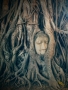 QuickPhoto 2016 - Hlava Buddhy v kořenech stromu