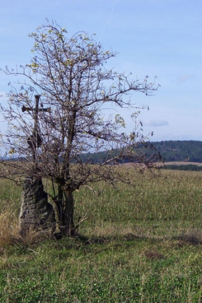 Stromy v krajině - Místo opředené pověstí - podzim