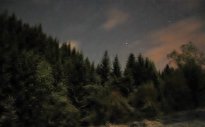 Stromy v krajině - Les v noci "krasa kysuckej noci"