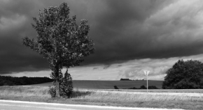 Stromy v krajině - Fotograf roku - junior - Ticho pred búrkou