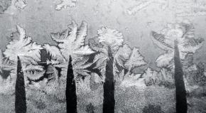 Abstraktní fotografie - Zasněžené palmy