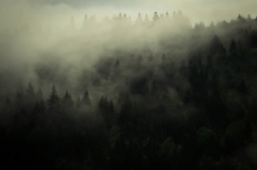 Moje "Magic Hour" v krajině - Fotograf roku - Junior - VIII.kolo - Tajomný les