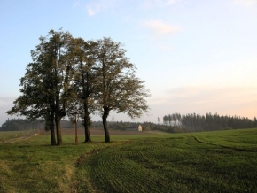 Stromy v krajině - Strom a kříž3