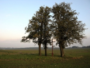Stromy v krajině - Strmy a kříž4