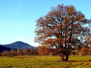 Stromy v krajině - Zlatý podzim